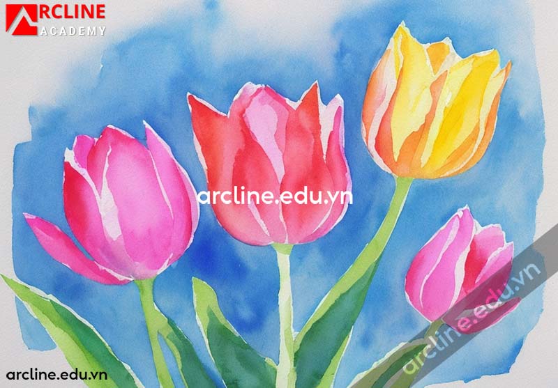 Hướng dẫn các bước vẽ hoa tulip bằng màu nước | ArcLine Academy