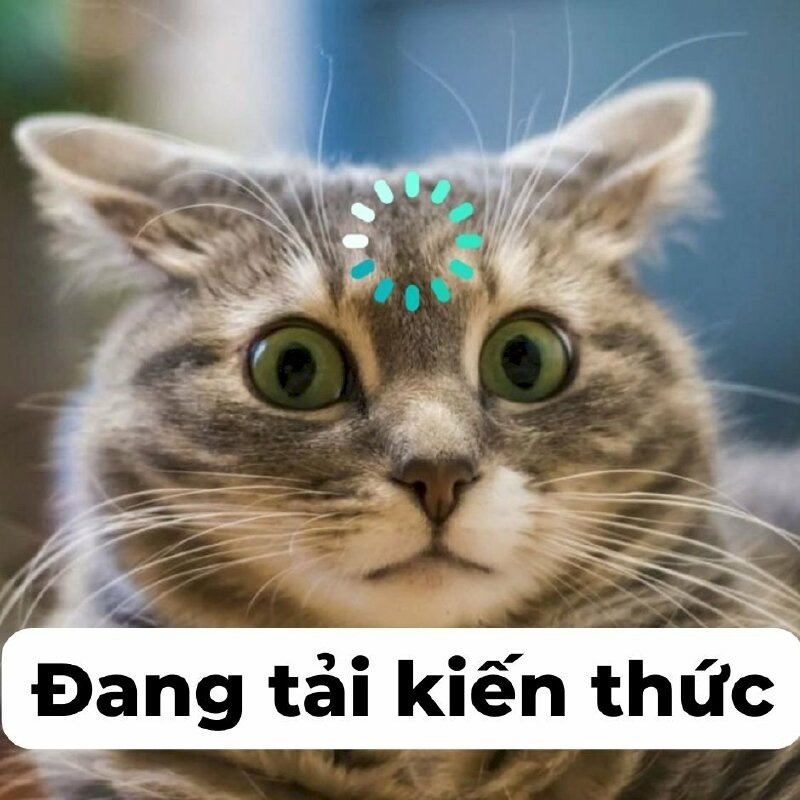 Tổng hợp một số công cụ chế meme và 15 ảnh chế meme mới nhất ...