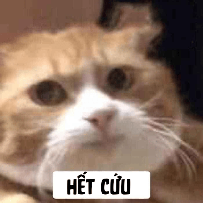 Bộ sưu tập ảnh Meme Hết cứu vui nhộn